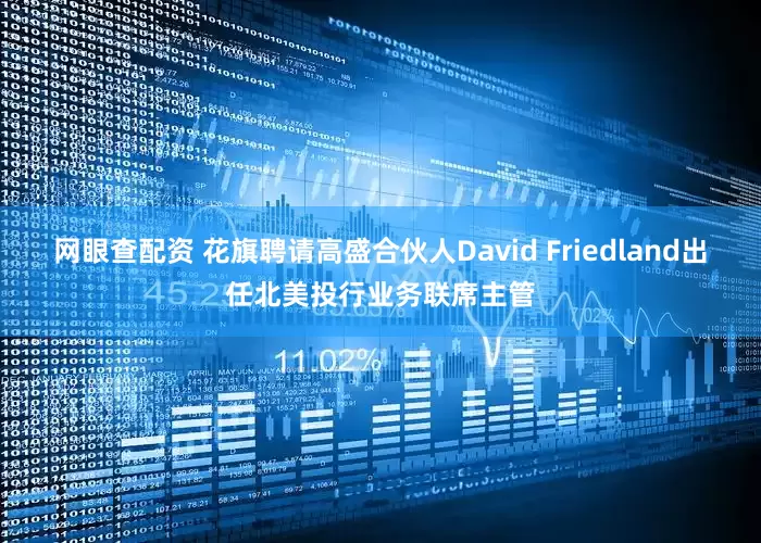 网眼查配资 花旗聘请高盛合伙人David Friedland出任北美投行业务联席主管